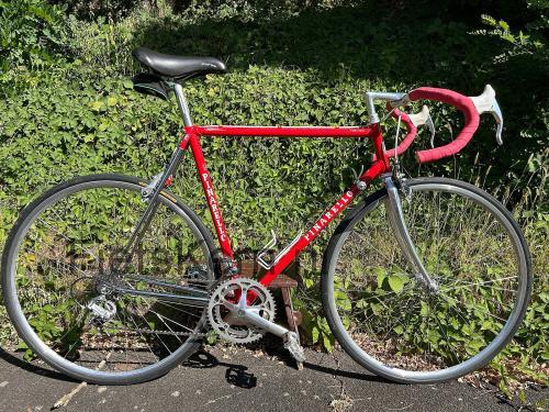 Pinarello Treviso specificaties